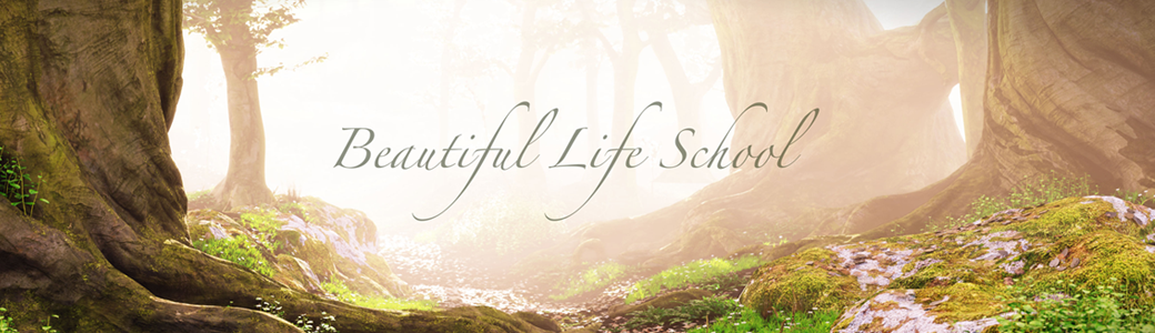 Beautiful Life School