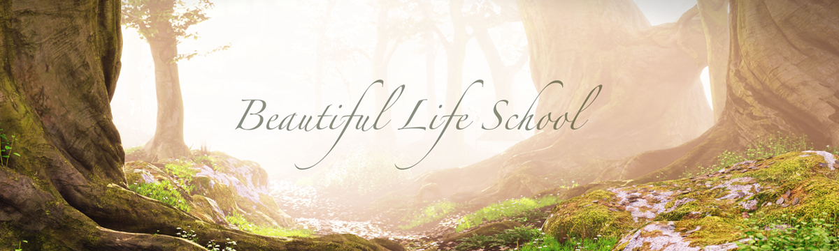 Beautiful Life School